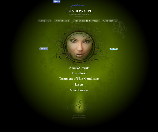 Skin Iowa Website Homepage