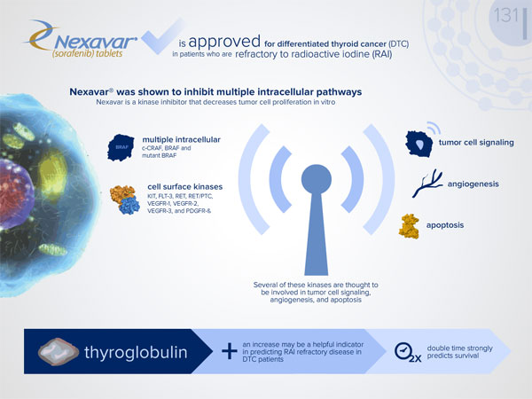 Nexevar Infographic 4